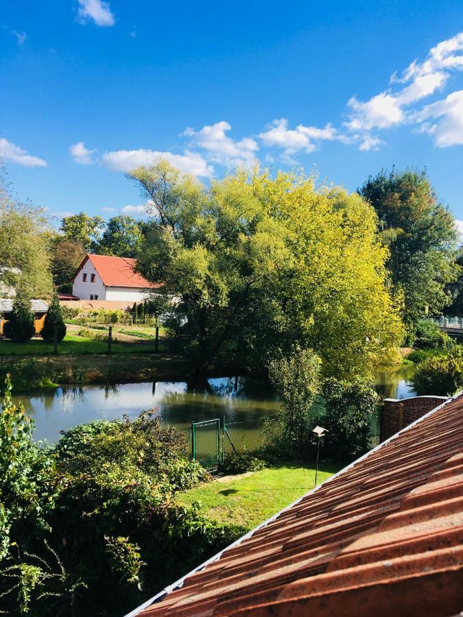 Appartement U Zámecké Dyje
