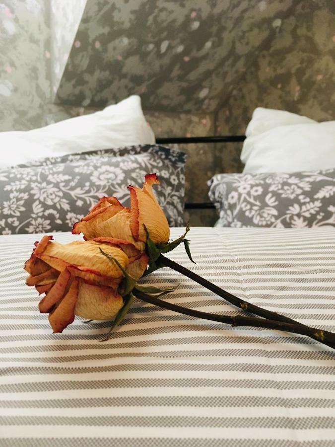 U Zámecké Dyje Appartement